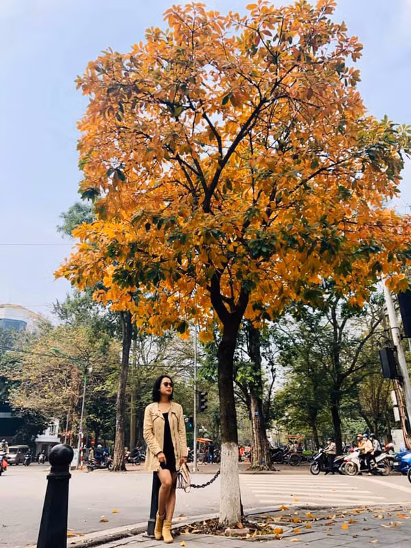 (Ảnh: Điệp Điệp)