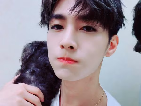 Viêm Á Luân - Mỹ nam trong lòng bao thiếu nữ.