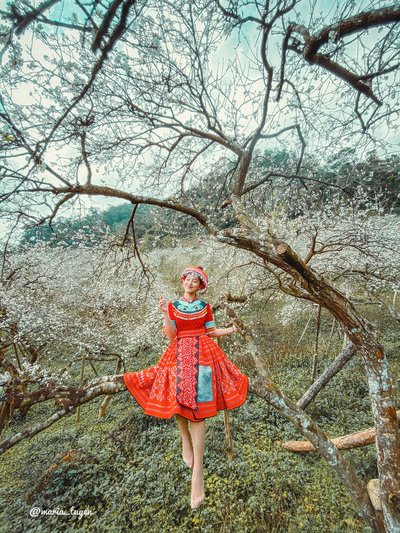 Thung lũng Mận Mu Náu là một địa điểm check-in khá khó tìm, bởi nếu các bạn search google maps thì nó sẽ chỉ dẫn đến quán Karaoke Phố Núi.