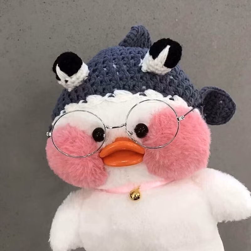 Có em vịt này thì mùa Đông không còn lạnh nữa rồi.