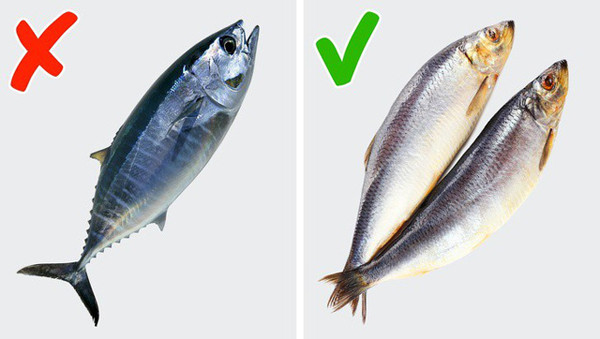 “Tuyệt chiêu” dinh dưỡng để khỏe và đẹp ảnh 8 “Tuyệt chiêu” dinh dưỡng để khỏe và đẹp ảnh 8