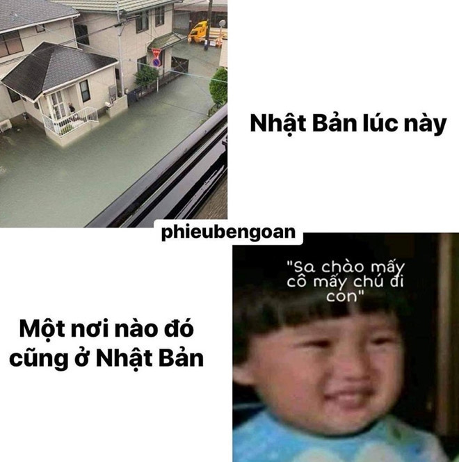Biểu cảm của cậu bé còn được dân tình nhiệt tình chế ảnh.