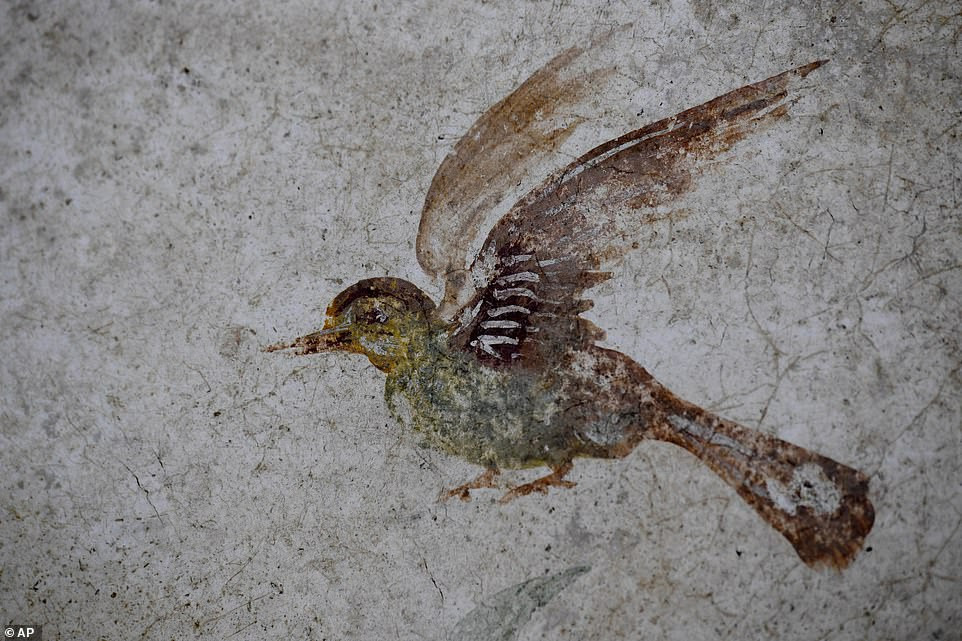 Bức vẽ khắc họa một chú chim trong điện thờ vừa được tìm thấy ở thành phố phế tích Pompeii (Ý).