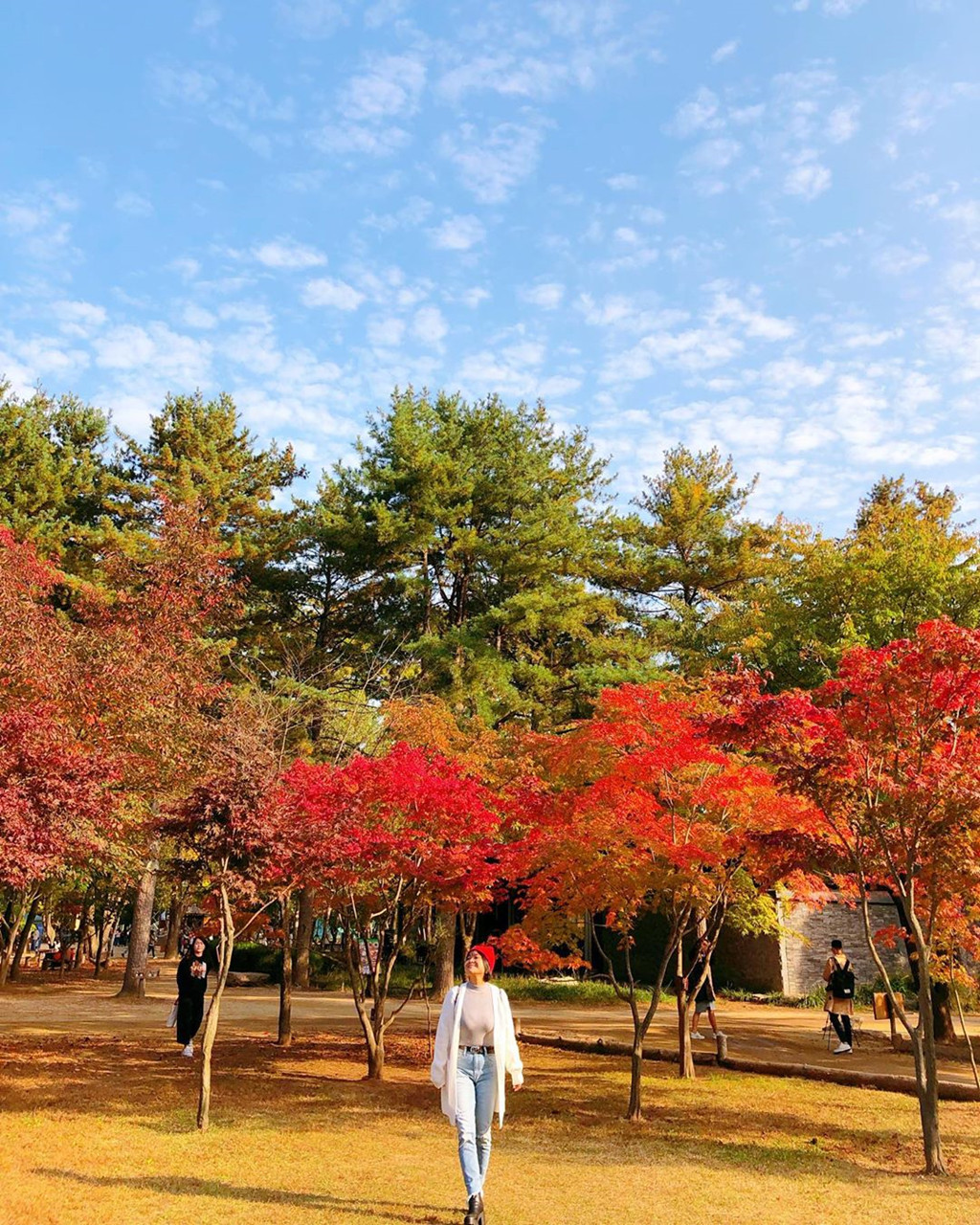 Ảnh: Nga_lonton89, Nguyenbachvan.