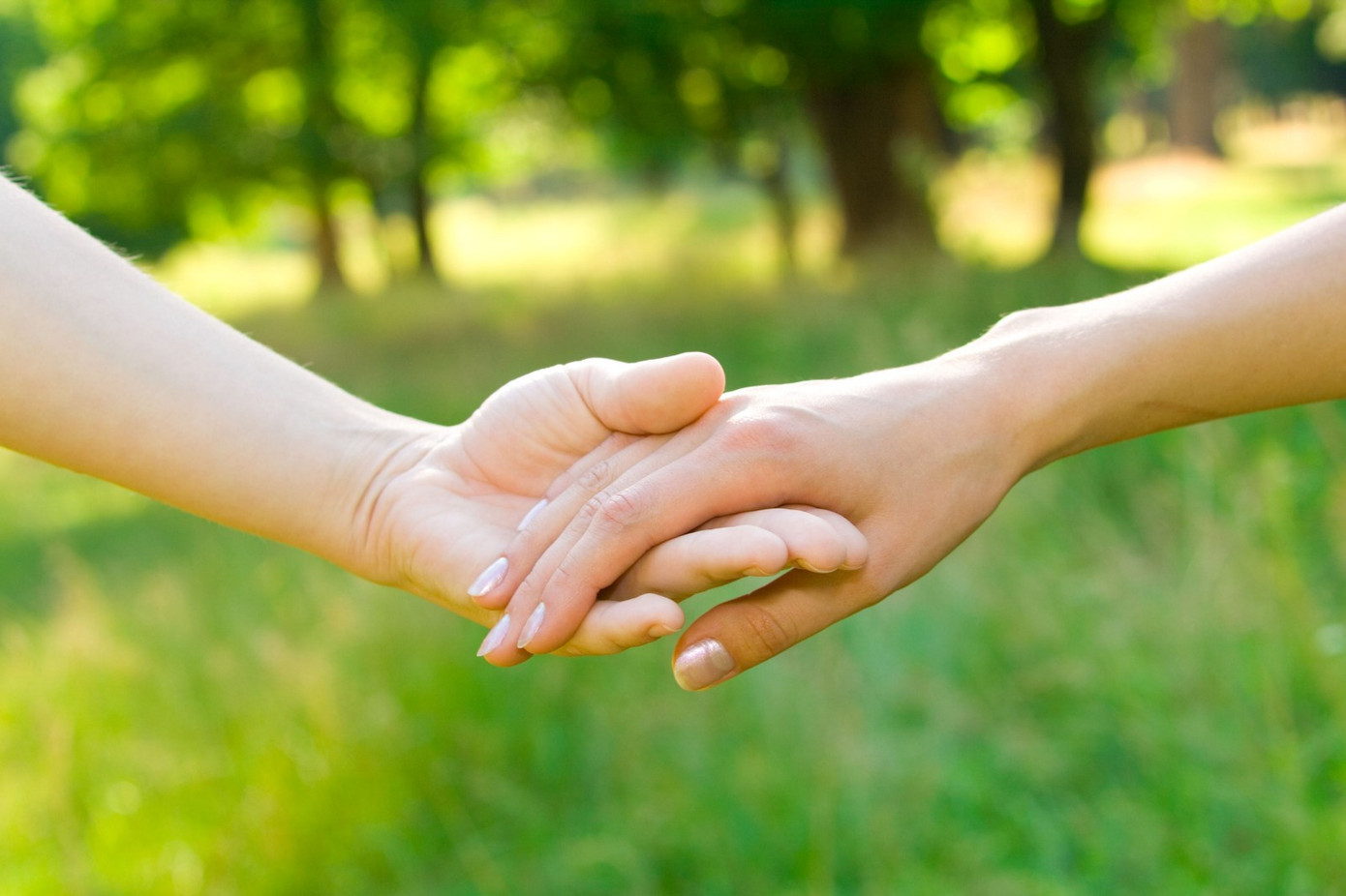 "Giải mã" những cái nắm tay của chàng ảnh 4