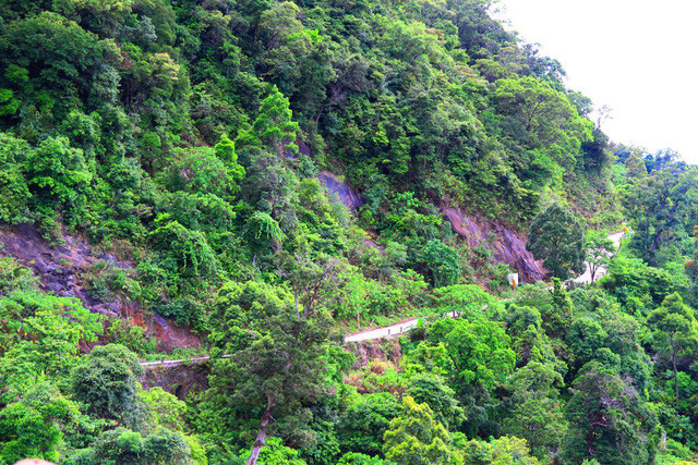 Những khúc đèo uốn lượn quanh co khá hiểm trở để lên Bạch Mã