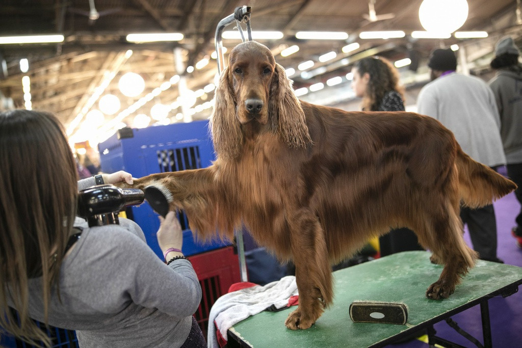 Ảnh: South China Morning Post.