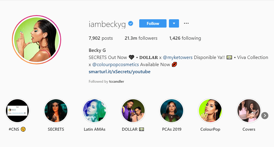 Sau đó, nữ ca sĩ người Mĩ đã tạo một story hightlight có tên #CNS trên Intagram của mình.