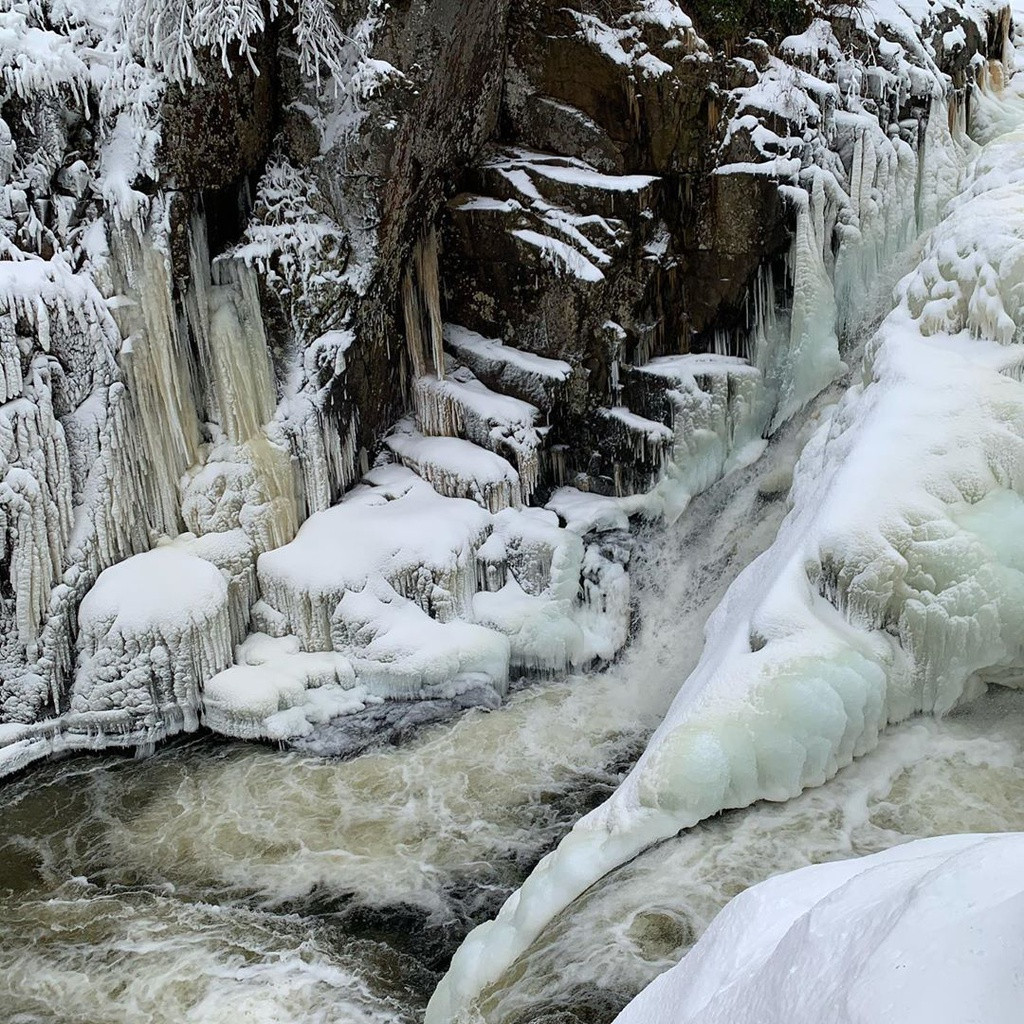 Ảnh: Photostockny, Krisp_fish.