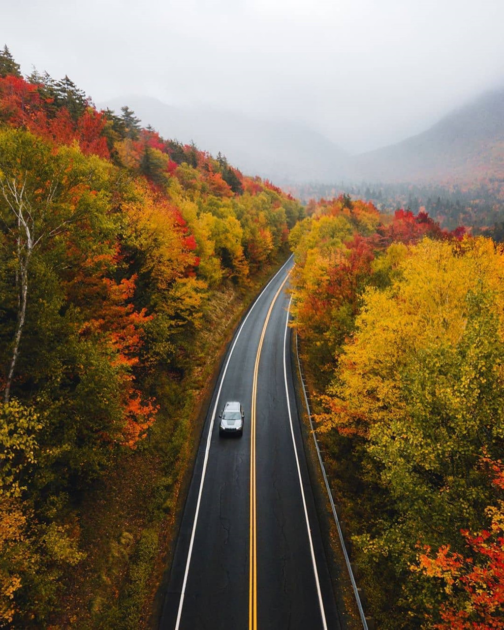 Ảnh: Juliiathompson, heykelseyj.