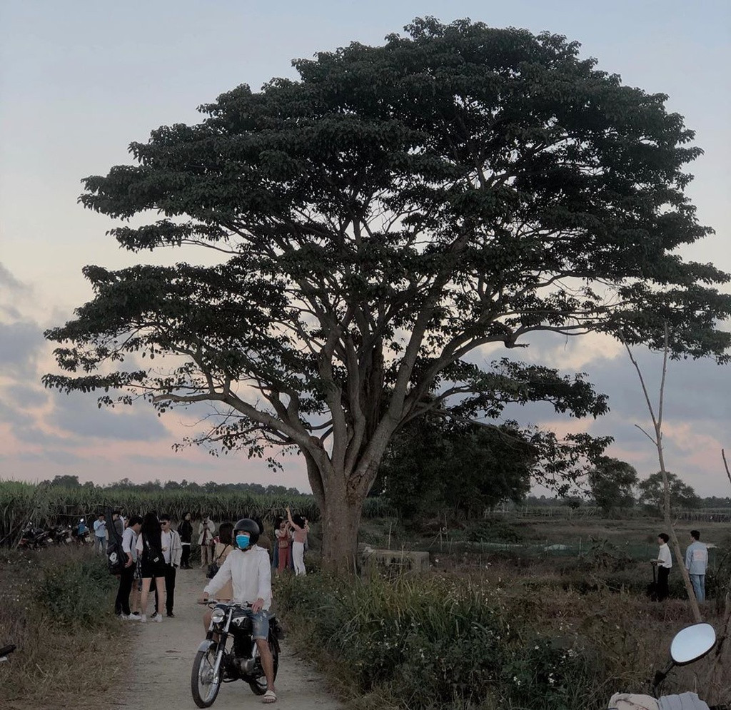 Ảnh: _Im.rot_, Chu_xptt.