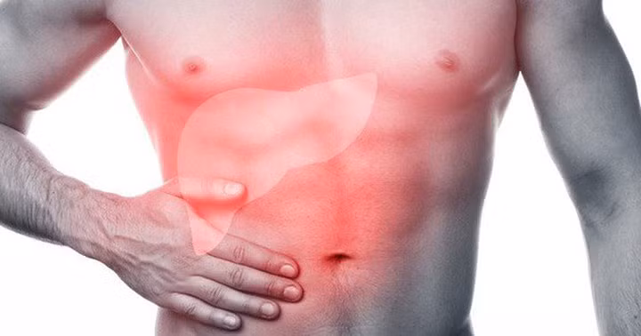 Làm giảm nguy cơ mắc bệnh gan: Gan là một cơ quan quan trọng của cơ thể rất nhạy cảm với việc uống quá nhiều rượu và fructose. Và điều này có thể dẫn đến tổn thương gan hay còn gọi là xơ gan. Người uống cà phê có tác dụng giảm tổn thương gan tới 84%. Ung thư gan cũng là nguyên nhân thứ hai gây tử vong do ung thư trên toàn thế giới và uống cà phê có thể làm giảm nguy cơ này đến 40%.