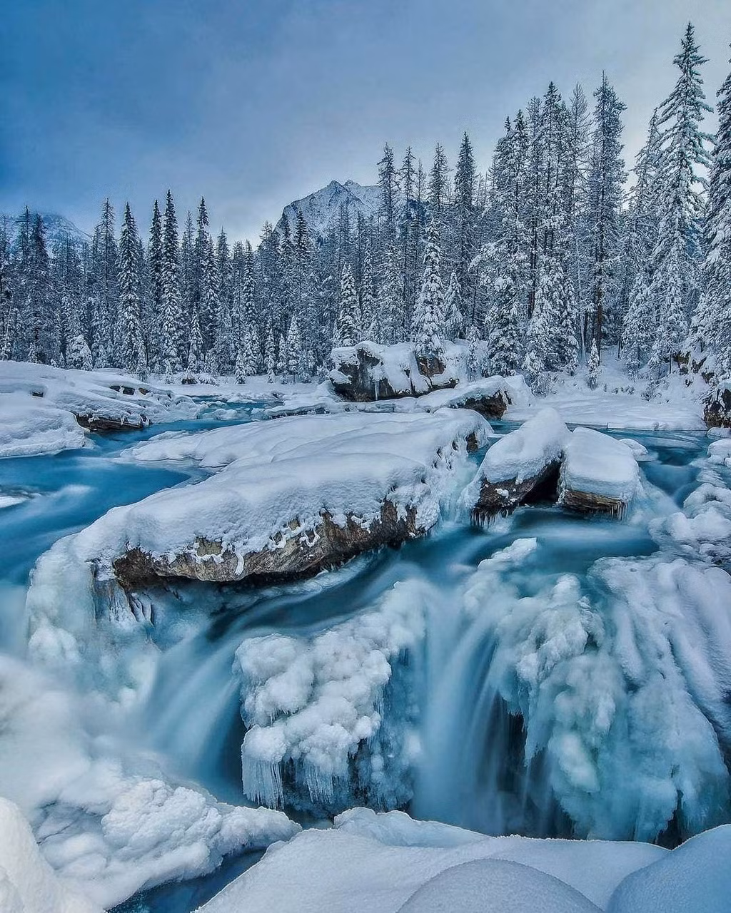 Ảnh: Winds of Jane, Markjinksphoto2.