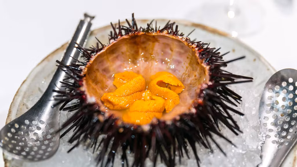 Ảnh: Sushi Modern.