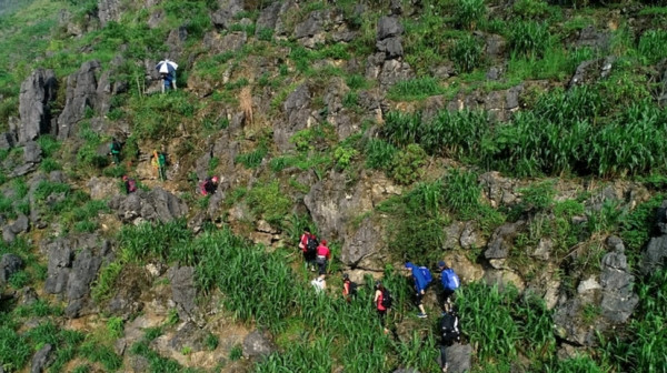 Ở một thử thách không quá khó như tìm mật thử ở ruộng ngô thì 2 đội Trắng và Xanh Lá đã quyết định bỏ cuộc.