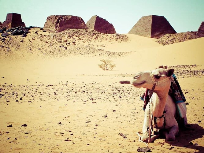 Wadi Halfa, Sudan. Nằm ở phía Bắc Sudan, Wadi Halfa không chỉ là thành phố có lịch sử phong phú, mà còn là một trong những nơi nóng nhất trên trái đất. Vào tháng 4/1967, nhiệt độ ở đây tăng lên 127 độ F (52,7 độ C).