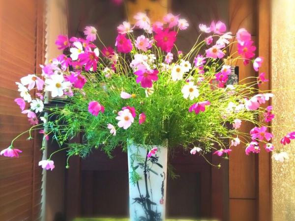 Đã đến lúc khoác áo mới cho "vương quốc hạnh phúc" của riêng bạn ảnh 1 Đã đến lúc khoác áo mới cho "vương quốc hạnh phúc" của riêng bạn ảnh 1