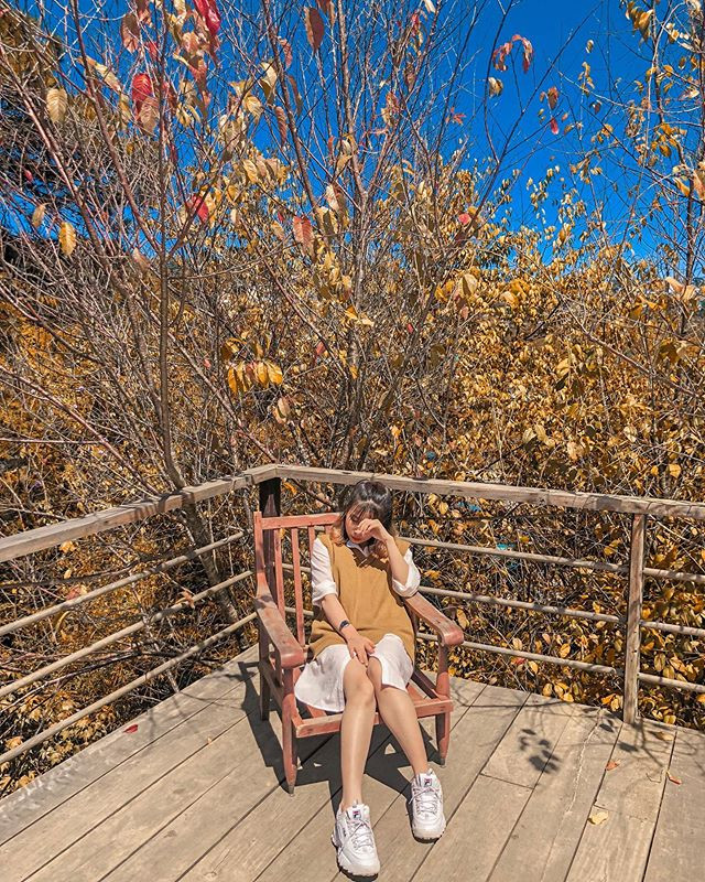 Ảnh: Zinnia.nguyen