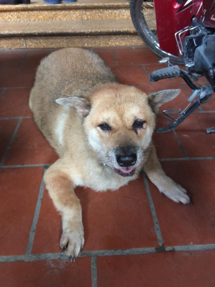 Có gương mặt rất "cute", Béo thực ra đã... gần 70 tuổi