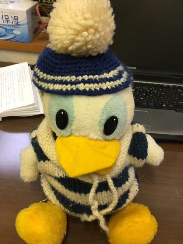 Và có hẳn một chiếc áo len đáng yêu.