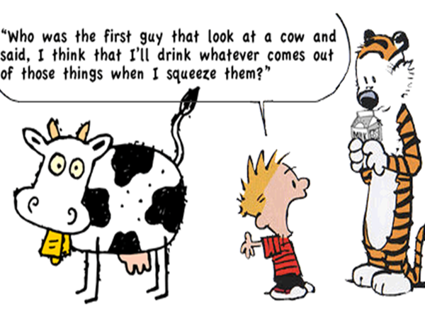 Hẳn bạn quen thuộc với nhân vật Calvin và Hobbes này chứ?