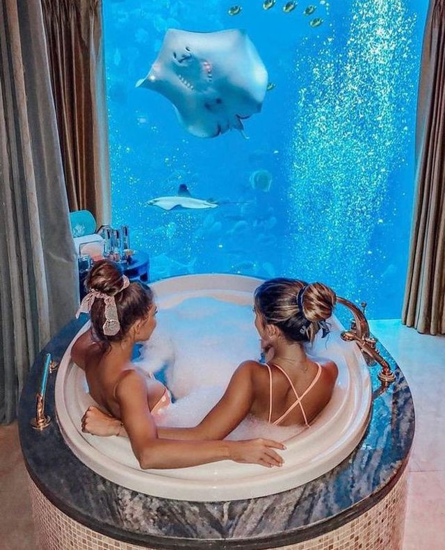 Tận hưởng mọi dịch vụ du lịch xa xỉ bậc nhất như ngắm nhìn bể thủy sinh với các loại cá độc đáo.