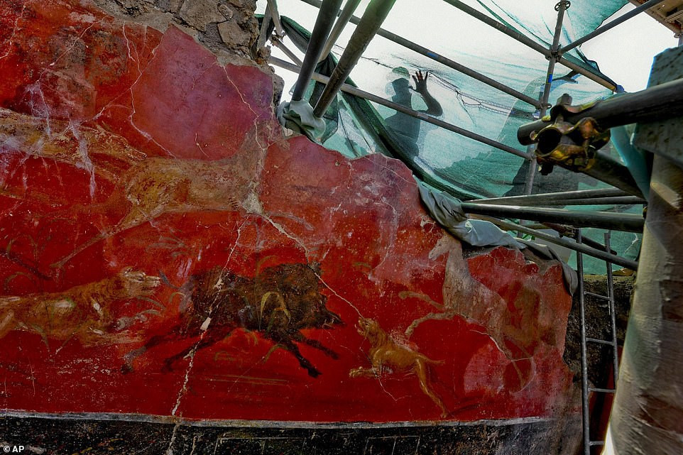 Một mảng tường đỏ với hình vẽ minh họa những con thú.