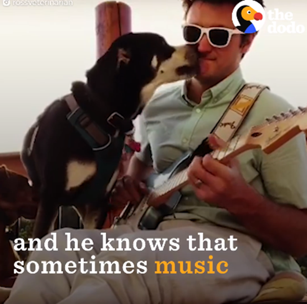 Phương pháp này đã làm cho quá trình chăm sóc, chữa bệnh cho các thú cưng trở nên hiệu quả hơn.