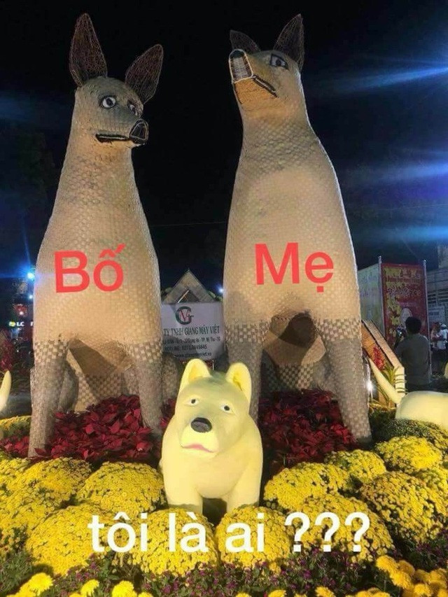 Thảm hoạ biểu tượng heo làm nhiều người liên tưởng tới chú chó năm ngoái.