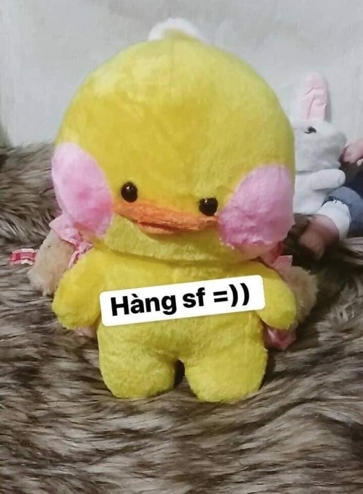 Cái này vẫn chưa sốc lắm.