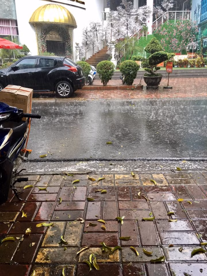 Cô bạn đăng tải bức ảnh còn chia sẻ rằng cơn mưa này đến quá bất ngờ nên không kịp chuẩn bị áo mưa, nhưng bạn ấy vẫn rất vui vì Hà Nội đã 