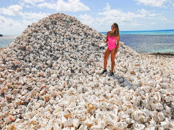 Người ta có thể dễ dàng nhìn thấy đảo Conch từ vệ tinh.