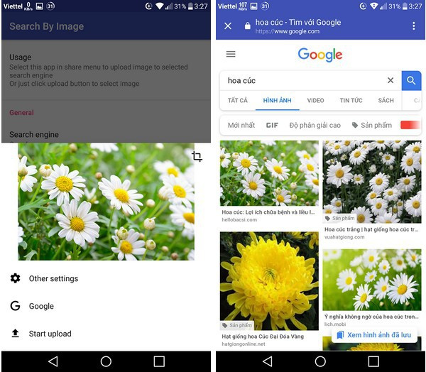 Ứng dụng nhận diện được loài hoa cần tìm kiếm trong ảnh là “Hoa Cúc”.