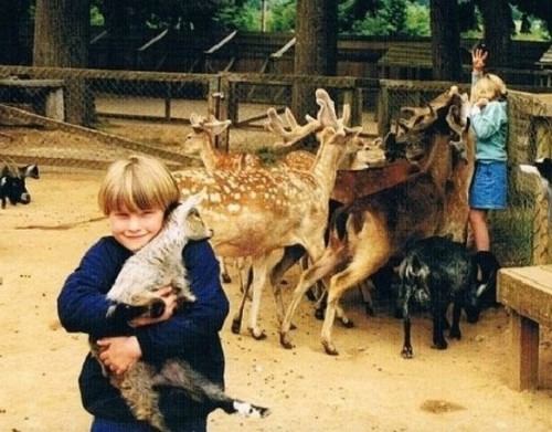 Khi cho những con thú ăn, hãy đảm bảo bạn có đủ thức ăn cho tất cả ...