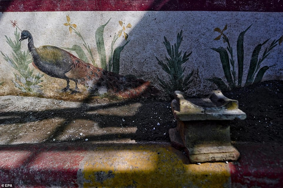 Bức bích họa khắc họa con công. Những hình ảnh muông thú, cỏ cây là khá thường thấy trong phong cách vẽ bích họa thời La Mã.