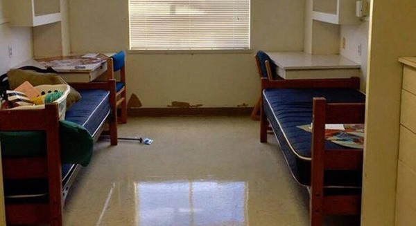 Skylar Bantz, tân sinh viên Đại học bang Texas (Mỹ) và bạn cùng phòng, Adeline Vela quyết định bỏ ra 2.400 USD (khoảng 55 triệu đồng) để tân trang phòng ký túc xá đơn điệu.