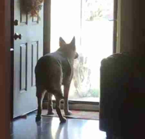 Một bức ảnh Gretchen đang đứng “ngóng” bác Barboza.