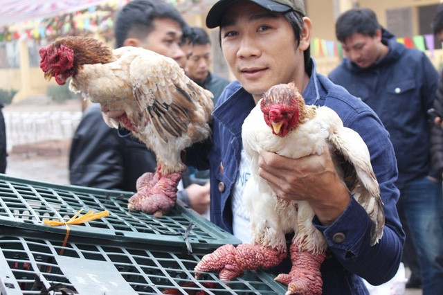 5 đặc sản quý hiếm được “săn lùng” dịp Tết ảnh 3