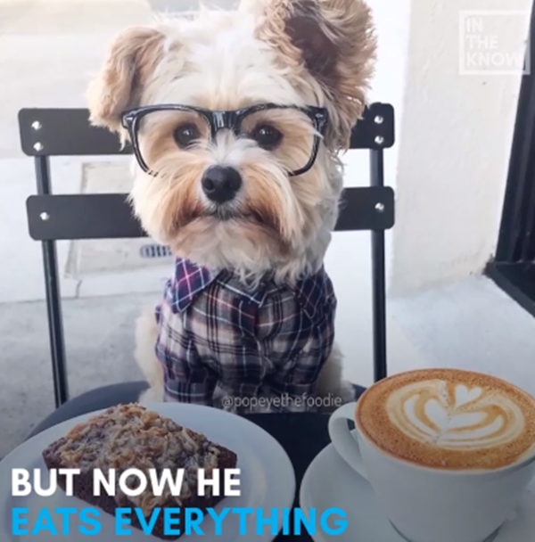 Bữa sáng với phong cách trẻ trung.