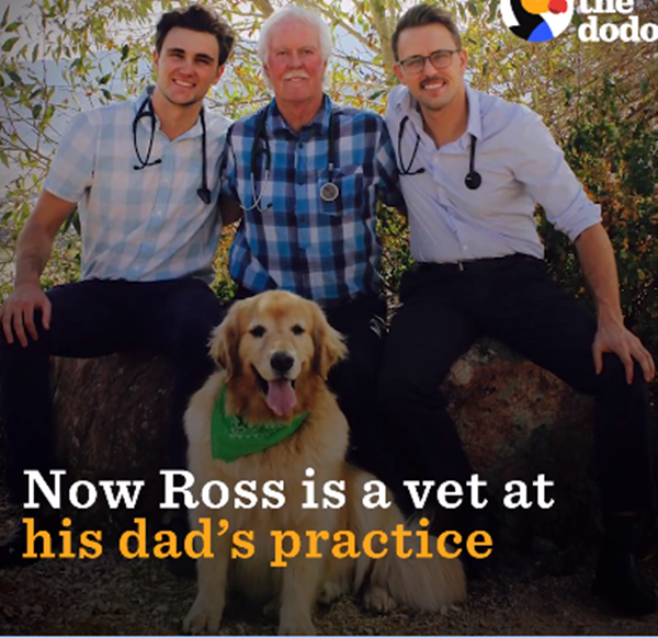 Và hiện tại Ross đang là bác sĩ thực tập cho phòng khám bệnh thú y của cha anh.