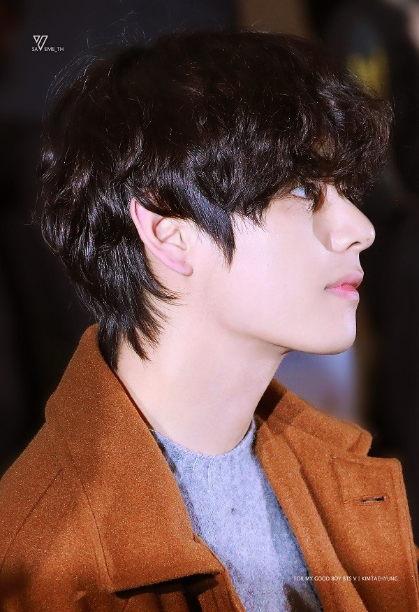 Người hâm mộ chỉ còn biết trầm trồ trước nhan sắc vạn người mê của anh chàng. Nhiều khoảnh khắc trong ống kính fansite, V được khen đẹp như ảnh chụp họa báo. 