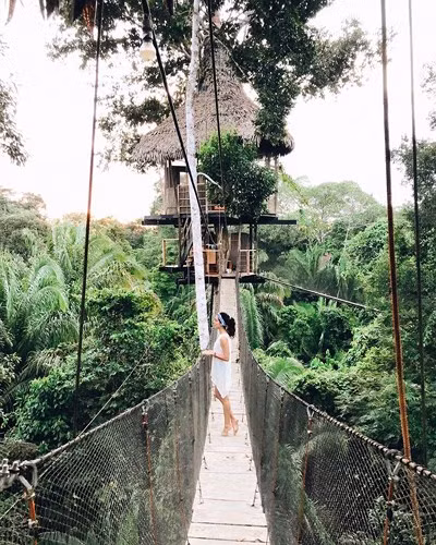 Treehouse Lodge, Peru. Tận hưởng môi trường hoang dã của Amazon tại nhà nghỉ bằng gỗ cao cấp này, nơi bạn có thể băng qua con đường và gặp những con lười.
