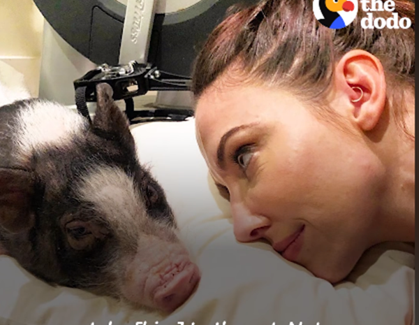 Mẹ là người luôn gần gũi chú trong khi chú bị bệnh.