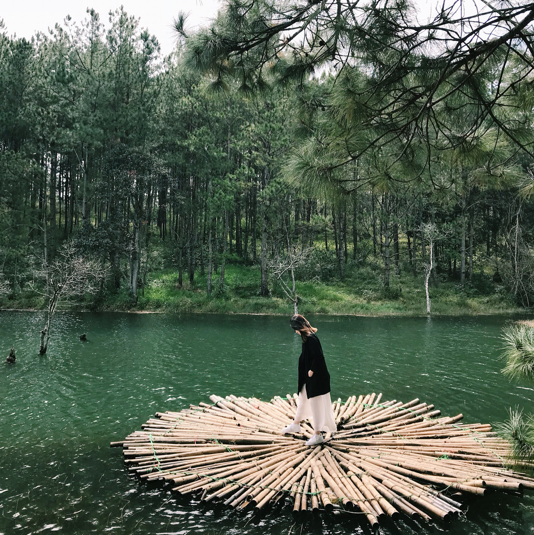 Ảnh: IG @nguyendinhthuyngan.