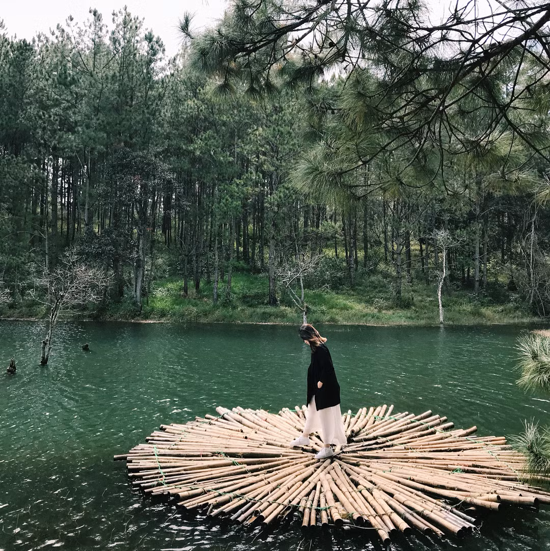 Ảnh: IG @nguyendinhthuyngan.