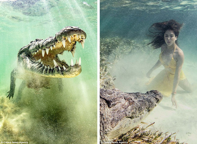 Ken Kiefer đã tìm tới một khu vực có nhiều cá sấu tự nhiên sinh sống và thuê những thợ lặn bản địa hỗ trợ biện pháp an toàn trong lúc chụp hình.