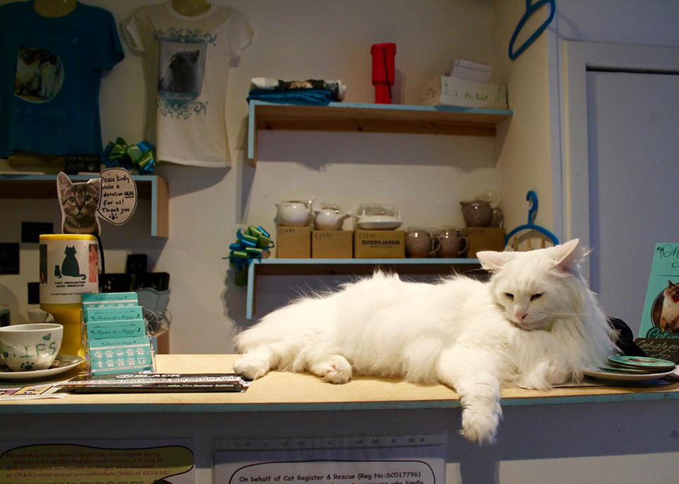 Ảnh: Little-blog-of-horrors.