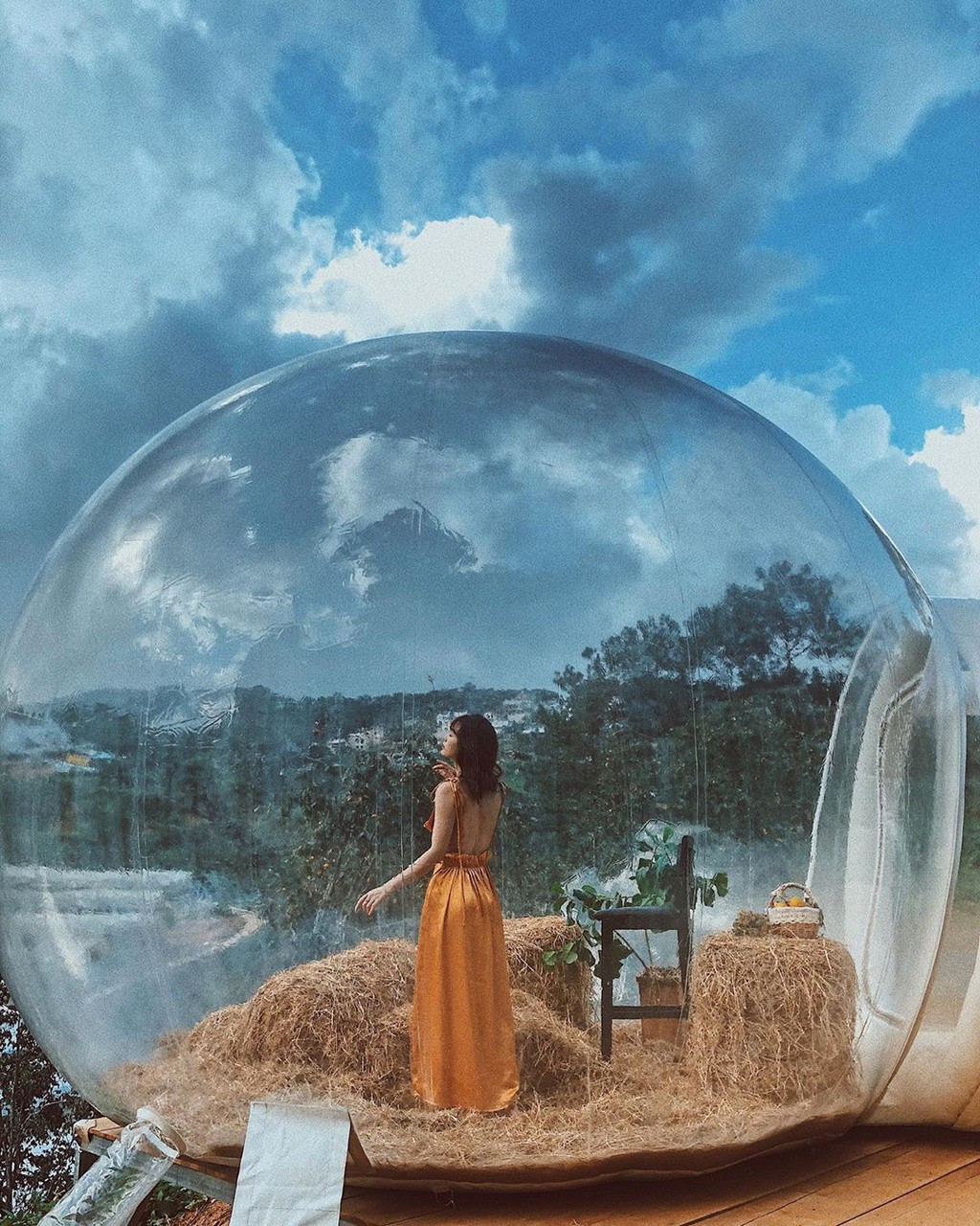 Ảnh: Tpbongg, vuonhongnhatom.