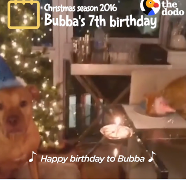 Cùng ăn bánh, thổi nến nhân dịp sinh nhật.