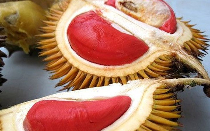 Sầu riêng ruột đỏ Malaysia mang về Việt Nam bán với giá cao, thậm chí gấp tới 17 lần. (Ảnh: VnExpress).